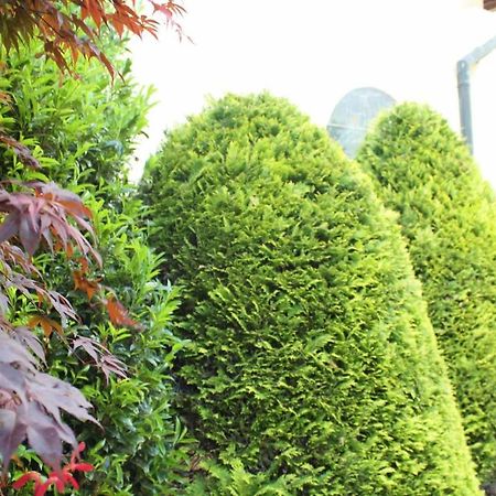 Wanderhotel Garni Cresta Schruns Exterior photo
